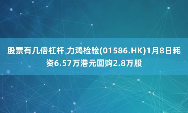 股票有几倍杠杆 力鸿检验(01586.HK)1月8日耗资6.57万港元回购2.8万股