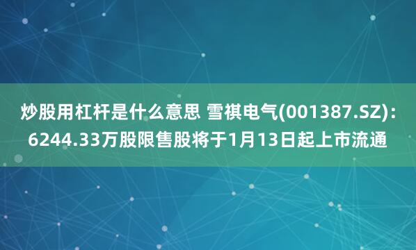 炒股用杠杆是什么意思 雪祺电气(001387.SZ)：6244.33万股限售股将于1月13日起上市流通